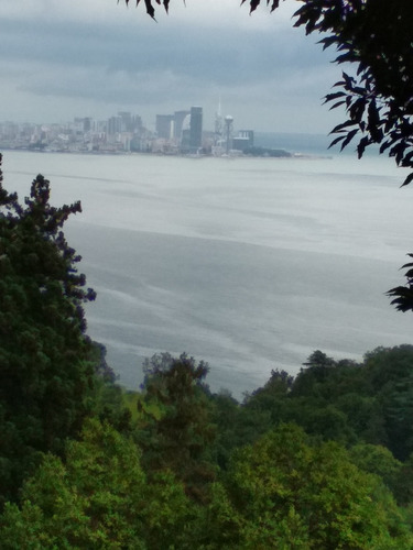 Ботанический сад Батуми Грузия